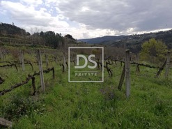 Terreno Rstico T0 - Souselo, Cinfes, Viseu - Miniatura: 2/13