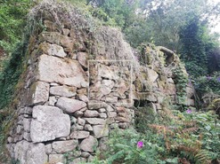 Terreno Rstico T0 - Souselo, Cinfes, Viseu - Miniatura: 6/13