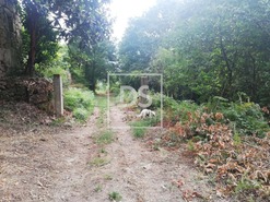 Terreno Rstico T0 - Souselo, Cinfes, Viseu - Miniatura: 8/13