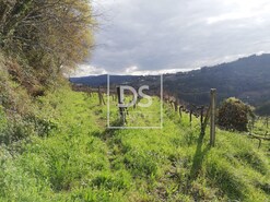 Terreno Rstico T0 - Souselo, Cinfes, Viseu - Miniatura: 13/13