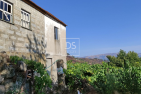 Moradia T0 - Viariz, Bai�o, Porto - Miniatura: 6/7