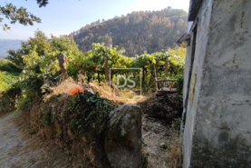 Moradia T0 - Viariz, Bai�o, Porto - Miniatura: 7/7