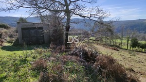 Ruina T0 - Gouveia (S�o Sim�o), Amarante, Porto - Miniatura: 1/12