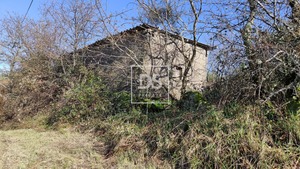 Ruina T0 - Gouveia (S�o Sim�o), Amarante, Porto - Miniatura: 2/12