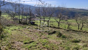 Ruina T0 - Gouveia (S�o Sim�o), Amarante, Porto - Miniatura: 6/12