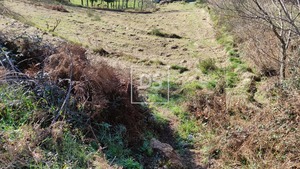 Ruina T0 - Gouveia (S�o Sim�o), Amarante, Porto - Miniatura: 10/12