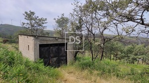 Ruina T0 - Gouveia (S�o Sim�o), Amarante, Porto - Miniatura: 12/12