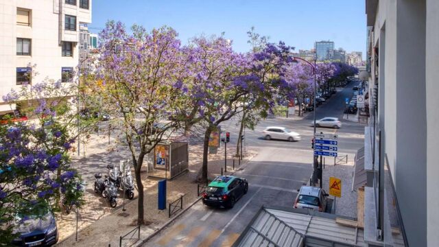 Apartamento T3 - Avenidas Novas, Lisboa, Lisboa - Imagem grande