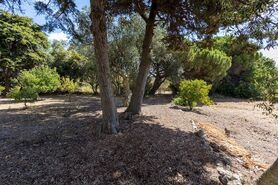 Quinta T6 - Alcabideche, Cascais, Lisboa - Miniatura: 33/48