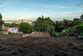 Terreno Urbano T0 - Santa Maria e S�o Miguel, Sintra, Lisboa - Miniatura: 18/37
