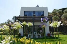 Quinta - Marco de Canaveses, Marco de Canaveses, Porto - Miniatura: 9/19
