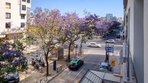Apartamento T3 - Avenidas Novas, Lisboa, Lisboa - Miniatura: 9/9