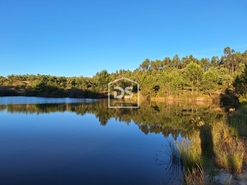 Terreno R�stico - Raposa, Almeirim, Santar�m - Miniatura: 2/24