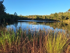 Terreno R�stico - Raposa, Almeirim, Santar�m - Miniatura: 4/24