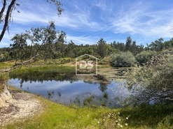 Terreno R�stico - Raposa, Almeirim, Santar�m - Miniatura: 6/24