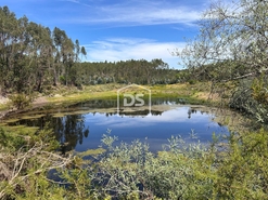 Terreno R�stico - Raposa, Almeirim, Santar�m - Miniatura: 7/24