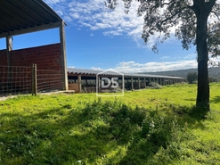 Terreno R�stico - Raposa, Almeirim, Santar�m - Miniatura: 11/24