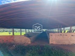 Terreno R�stico - Raposa, Almeirim, Santar�m - Miniatura: 12/24