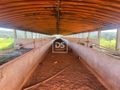 Terreno R�stico - Raposa, Almeirim, Santar�m - Miniatura: 14/24