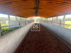 Terreno R�stico - Raposa, Almeirim, Santar�m - Miniatura: 15/24