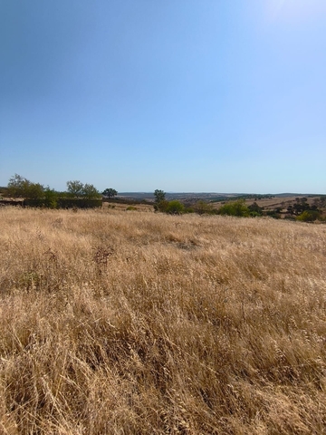Terreno R�stico T0 - Alcoutim, Alcoutim, Faro (Algarve) - Imagem grande