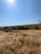 Terreno R�stico T0 - Alcoutim, Alcoutim, Faro (Algarve) - Miniatura: 1/6
