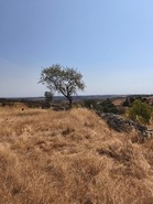 Terreno R�stico T0 - Alcoutim, Alcoutim, Faro (Algarve) - Miniatura: 2/6
