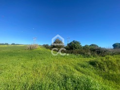 Terreno R�stico T0 - Rio de Mouro, Sintra, Lisboa - Miniatura: 11/16