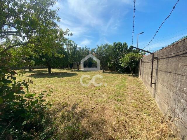 Terreno R�stico T0 - S�o Domingos de Rana, Cascais, Lisboa - Imagem grande