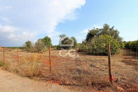 Terreno R�stico T0 - Algoz, Silves, Faro (Algarve) - Miniatura: 1/10