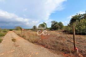 Terreno R�stico T0 - Algoz, Silves, Faro (Algarve) - Miniatura: 2/10