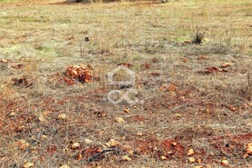 Terreno R�stico T0 - Algoz, Silves, Faro (Algarve) - Miniatura: 3/10