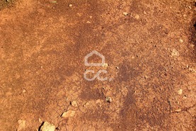 Terreno R�stico T0 - Algoz, Silves, Faro (Algarve) - Miniatura: 7/10