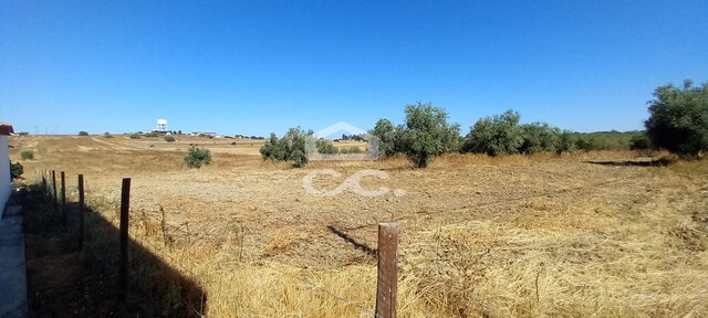 Terreno R�stico T0 - Beringel, Beja, Beja - Imagem grande