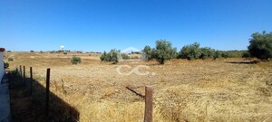 Terreno R�stico T0 - Beringel, Beja, Beja