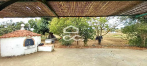 Quinta T2 - Nossa Senhora das Neves, Beja, Beja