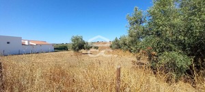 Terreno R�stico T0 - Beringel, Beja, Beja - Miniatura: 2/8