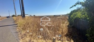 Terreno R�stico T0 - Beringel, Beja, Beja - Miniatura: 4/8