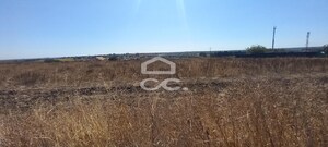Terreno R�stico T0 - Beringel, Beja, Beja - Miniatura: 5/8