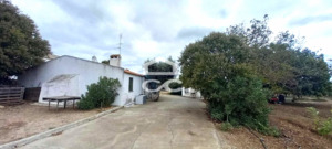 Quinta T2 - Nossa Senhora das Neves, Beja, Beja - Miniatura: 2/53