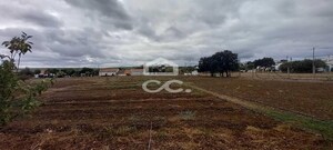 Quinta T2 - Nossa Senhora das Neves, Beja, Beja - Miniatura: 17/53