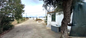 Quinta T2 - Nossa Senhora das Neves, Beja, Beja - Miniatura: 34/53