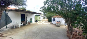 Quinta T2 - Nossa Senhora das Neves, Beja, Beja - Miniatura: 41/53
