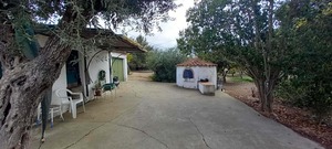 Quinta T2 - Nossa Senhora das Neves, Beja, Beja - Miniatura: 44/53