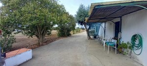 Quinta T2 - Nossa Senhora das Neves, Beja, Beja - Miniatura: 46/53
