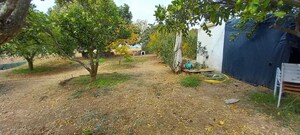 Quinta T2 - Nossa Senhora das Neves, Beja, Beja - Miniatura: 48/53