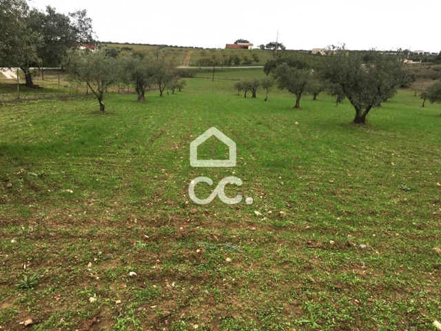 Terreno R�stico T0 - Amareleja, Moura, Beja - Imagem grande