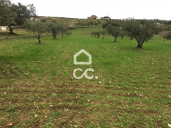 Terreno R�stico T0 - Amareleja, Moura, Beja
