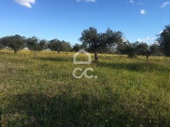 Terreno R�stico T0 - Amareleja, Moura, Beja - Miniatura: 2/9