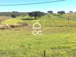 Terreno R�stico T0 - Amareleja, Moura, Beja - Miniatura: 5/9